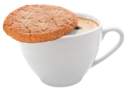 FysioDomestic_Cookie